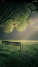  Green shadow