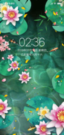 夏日锦鲤
