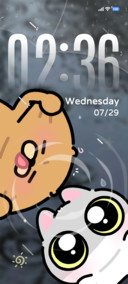 呆猫八条 是雨天耶
