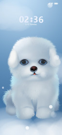 Little Bichon Bear