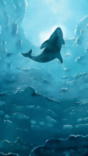 海