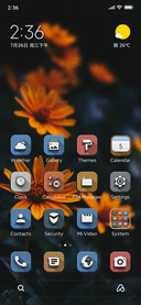 Orange flowers v15