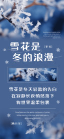 雪花是冬的浪漫