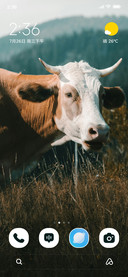 Pasture Calm