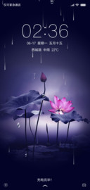 夜荷