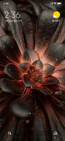 Petals