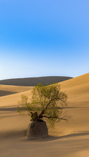 Dunhuang Desert Sand Mountain Scenery