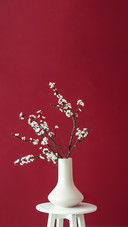插花艺术-拍信图库