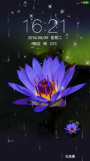 睡莲下雨动态