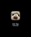 软萌狗狗