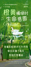 橙黄橘绿时生命感圆