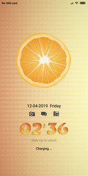 In Designs Tangy Orangy