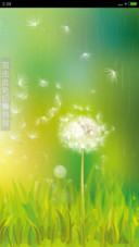 最美蒲公英