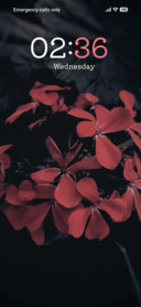 Crimson Charm