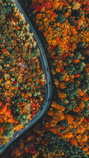 Scenery (21)