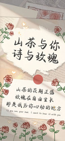 山茶与你诗与玫瑰