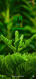Green Carlo