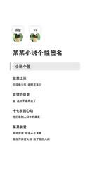 某某小说个性签名