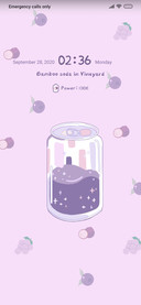 Fruit Bobo Soda