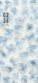 Foil petal