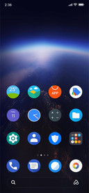 Google Pixel v11