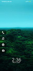 Forest to