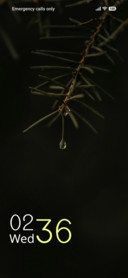 Pine Drople