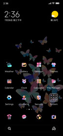Colorful butterfly