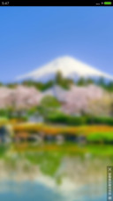 桃花朵朵开