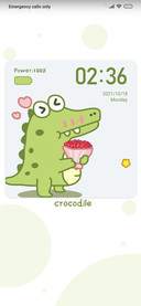 Small crocodile