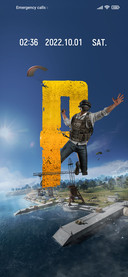 PUBGM King