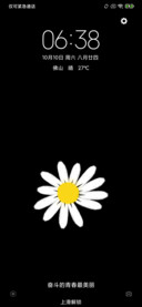 清新雏菊
