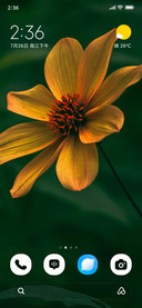 Golden Blossom