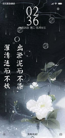 白莲