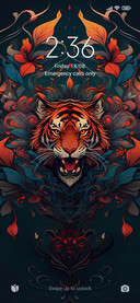 Fierce tiger