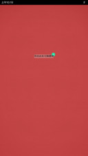 仿坚果