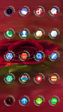 ROSE_STIW_REGULAR