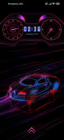 Race