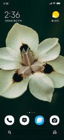 Silver Blossom