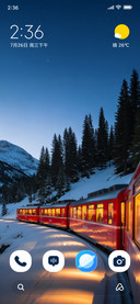Winter Train