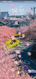 Kelven李浪漫樱花舞