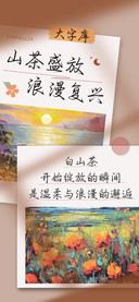 山茶盛放浪漫复兴
