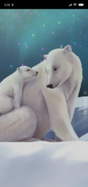 温暖陪伴