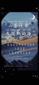 山茶深爱在沉默的海
