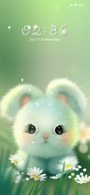 My Angora rabbit