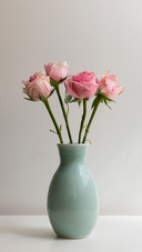 Secret of fast flower rooting 28