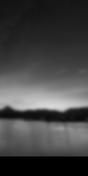 The Grey