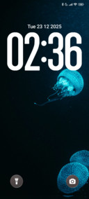 JellyV