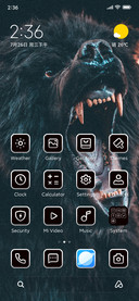 Black bear