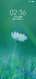 野雏菊
